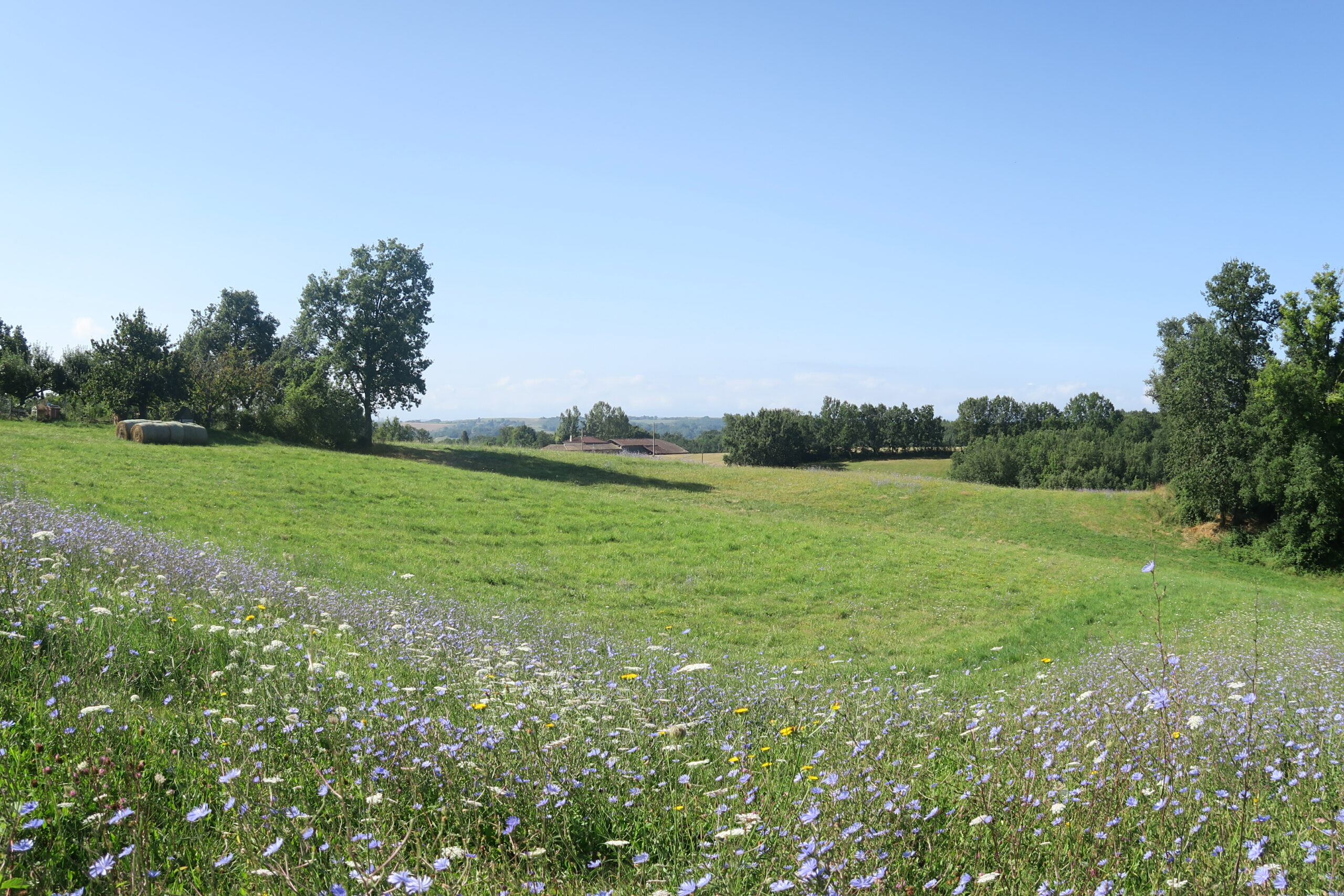Prairie